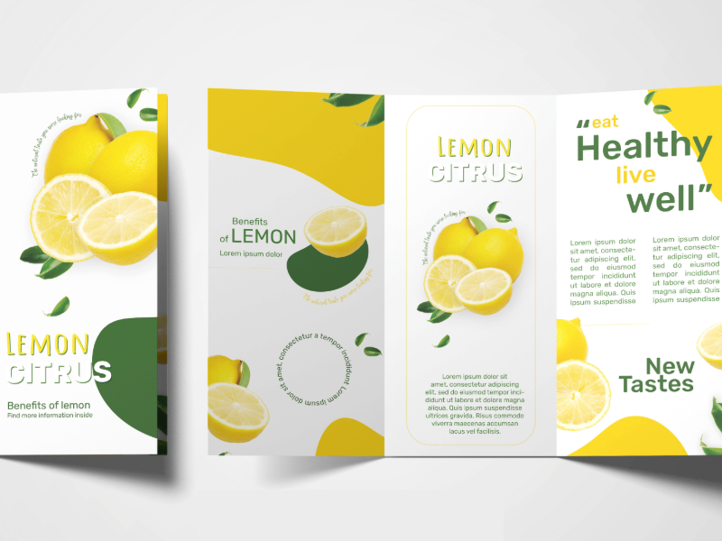 Brochures and Flyers